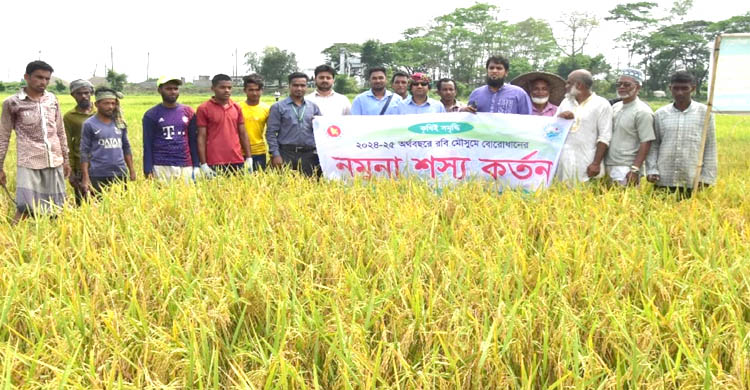 ছাতকে বোরো উৎসবে মেতেছেন কৃষকরা